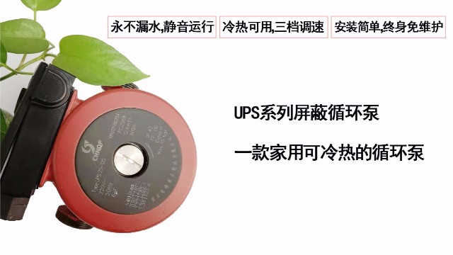 UPS系列屏蔽循环泵一款家用可冷热的循环泵