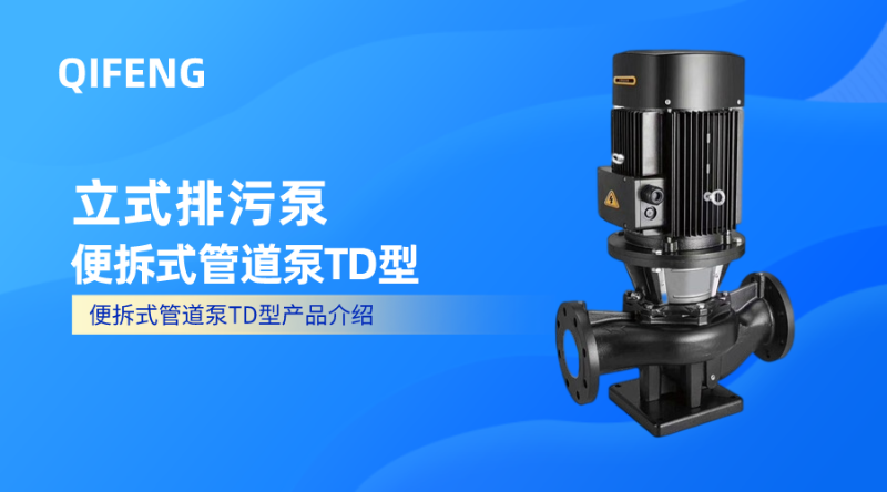 立式排污泵-便拆式管道泵TD型