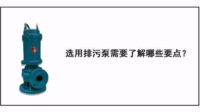 选用排污泵需要了解哪些要点？